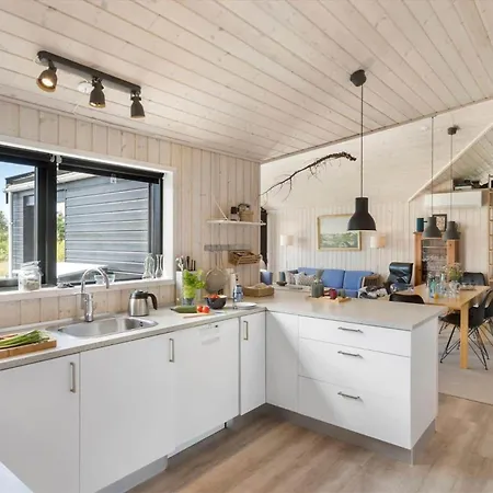 Bl1511-saltum-tolhoj-21 Holiday home Saltum